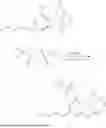 Fig. 160 - CANNABICYCLOL DERIVATIVES AND PREPARATION METHODS THEREOF
