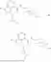 Fig. 27 - BICYCLIC CARBOXAMIDES AND METHODS OF USE THEREOF