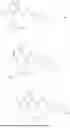 Fig. 31 - BICYCLIC CARBOXAMIDES AND METHODS OF USE THEREOF