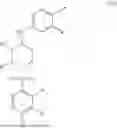 Fig. 25 - COMPOUNDS AS CCR6 INHIBITORS