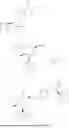 Fig. 50 - PIPERIDINE CARBOXAMIDE AZAINDANE DERIVATIVE, METHOD FOR PREPARING SAME, AND USE THEREOF
