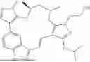 Fig. 1007 - INDAZOLE CONTAINING MACROCYCLES AND THEIR USE