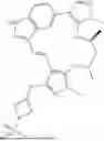 Fig. 1010 - INDAZOLE CONTAINING MACROCYCLES AND THEIR USE