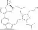 Fig. 1107 - INDAZOLE CONTAINING MACROCYCLES AND THEIR USE