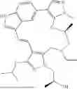 Fig. 1141 - INDAZOLE CONTAINING MACROCYCLES AND THEIR USE