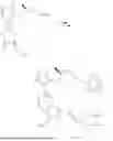 Fig. 1174 - INDAZOLE CONTAINING MACROCYCLES AND THEIR USE