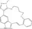 Fig. 119 - INDAZOLE CONTAINING MACROCYCLES AND THEIR USE