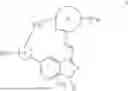 Fig. 12 - INDAZOLE CONTAINING MACROCYCLES AND THEIR USE