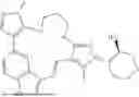 Fig. 190 - INDAZOLE CONTAINING MACROCYCLES AND THEIR USE