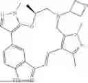 Fig. 243 - INDAZOLE CONTAINING MACROCYCLES AND THEIR USE