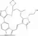 Fig. 255 - INDAZOLE CONTAINING MACROCYCLES AND THEIR USE