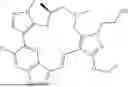 Fig. 275 - INDAZOLE CONTAINING MACROCYCLES AND THEIR USE