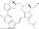 Fig. 303 - INDAZOLE CONTAINING MACROCYCLES AND THEIR USE