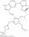 Fig. 324 - INDAZOLE CONTAINING MACROCYCLES AND THEIR USE