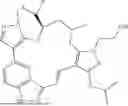 Fig. 379 - INDAZOLE CONTAINING MACROCYCLES AND THEIR USE