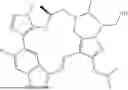 Fig. 386 - INDAZOLE CONTAINING MACROCYCLES AND THEIR USE
