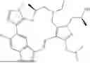 Fig. 400 - INDAZOLE CONTAINING MACROCYCLES AND THEIR USE