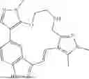 Fig. 613 - INDAZOLE CONTAINING MACROCYCLES AND THEIR USE