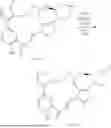 Fig. 686 - INDAZOLE CONTAINING MACROCYCLES AND THEIR USE