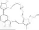 Fig. 885 - INDAZOLE CONTAINING MACROCYCLES AND THEIR USE