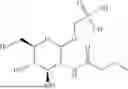 Fig. 145 - GLUCOSAMINE DERIVATIVES AND PHARMACEUTICAL USES THEREOF