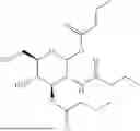 Fig. 22 - GLUCOSAMINE DERIVATIVES AND PHARMACEUTICAL USES THEREOF