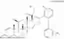 Fig. 22 - GLUCOCORTICOID RECEPTOR AGONISTS