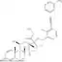 Fig. 420 - GLUCOCORTICOID RECEPTOR AGONISTS