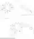 Fig. 58 - ECHINOCANDIN ANALOGES AND PREPARATION METHOD THEREFOR