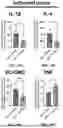 Fig. 08 - IMMUNORECEPTOR INHIBITORY PROTEINS AND RELATED METHODS
