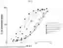 Fig. 07 - NOVEL RECOMBINANT AAV VP2 FUSION POLYPEPTIDES