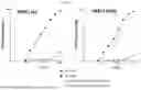 Fig. 10 - NOVEL RECOMBINANT AAV VP2 FUSION POLYPEPTIDES