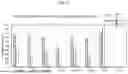 Fig. 15 - NOVEL RECOMBINANT AAV VP2 FUSION POLYPEPTIDES