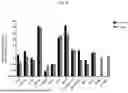 Fig. 21 - NOVEL RECOMBINANT AAV VP2 FUSION POLYPEPTIDES
