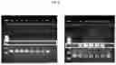 Fig. 22 - NOVEL RECOMBINANT AAV VP2 FUSION POLYPEPTIDES