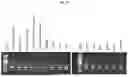 Fig. 31 - NOVEL RECOMBINANT AAV VP2 FUSION POLYPEPTIDES