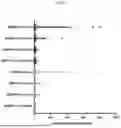 Fig. 36 - NOVEL RECOMBINANT AAV VP2 FUSION POLYPEPTIDES