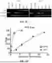 Fig. 04 - INTEIN SYSTEMS AND USES THEREOF