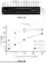 Fig. 05 - INTEIN SYSTEMS AND USES THEREOF