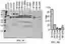 Fig. 09 - INTEIN SYSTEMS AND USES THEREOF