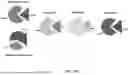 Fig. 24 - INTEIN SYSTEMS AND USES THEREOF