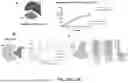 Fig. 25 - INTEIN SYSTEMS AND USES THEREOF