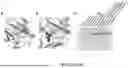 Fig. 30 - INTEIN SYSTEMS AND USES THEREOF