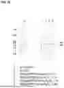 Fig. 16 - Modification and Compositions of Human Secretoglobin Proteins