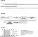 Fig. 25 - Modification and Compositions of Human Secretoglobin Proteins