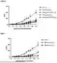 Fig. 06 - CLEC9A-BASED CHIMERIC PROTEIN COMPLEXES