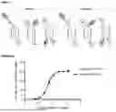 Fig. 07 - CLEC9A-BASED CHIMERIC PROTEIN COMPLEXES
