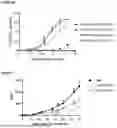 Fig. 08 - CLEC9A-BASED CHIMERIC PROTEIN COMPLEXES