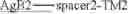 Fig. 07 - Cell