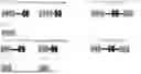 Fig. 01 - COMPLEMENT INHIBITORS AND USES THEREOF